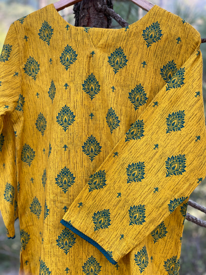 Chandni